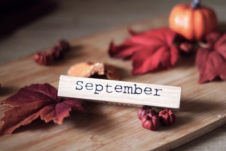 Rustic autumn decor featuring September sign, vibrant leaves, and mini pumpkins.