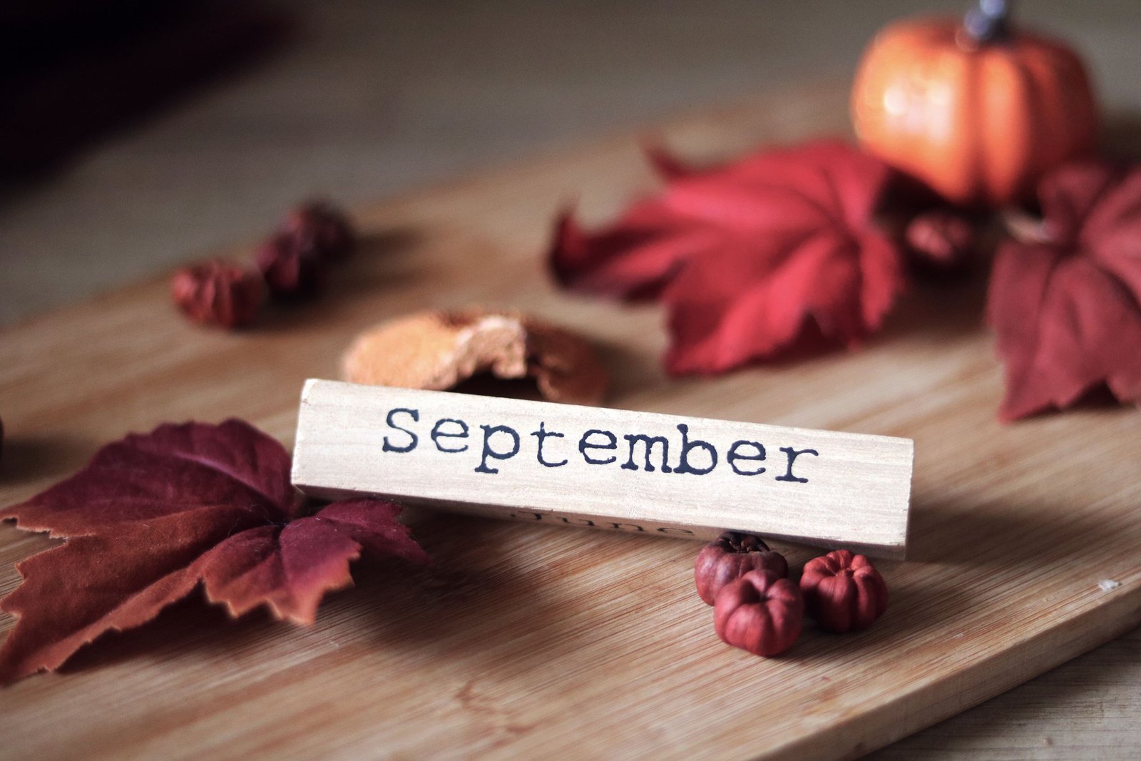 Rustic autumn decor featuring September sign, vibrant leaves, and mini pumpkins.
